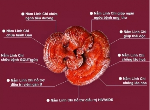 Người cao tuổi ăn trứng vịt lộn có tốt không?